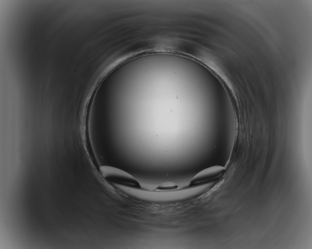 X0000088461437200705291522