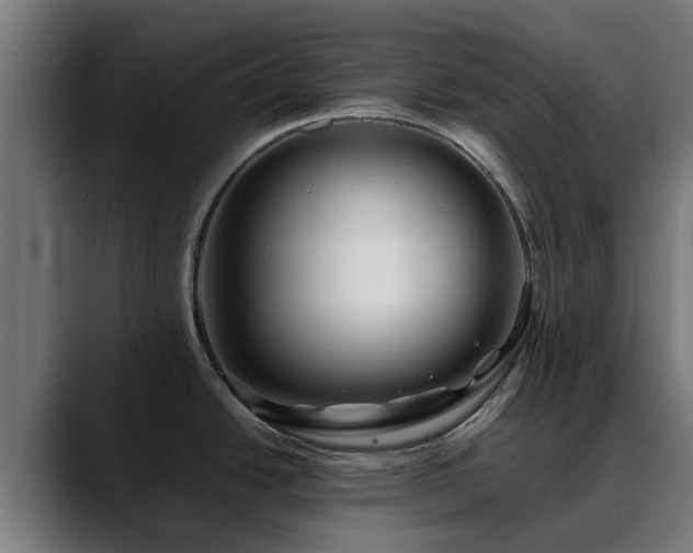 X0000088461438200705291522