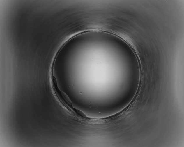 X0000088461440200705291522