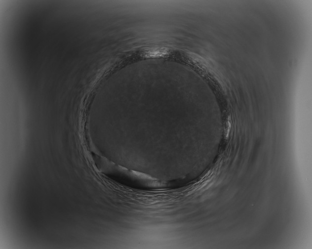 X0000088461441200705291522