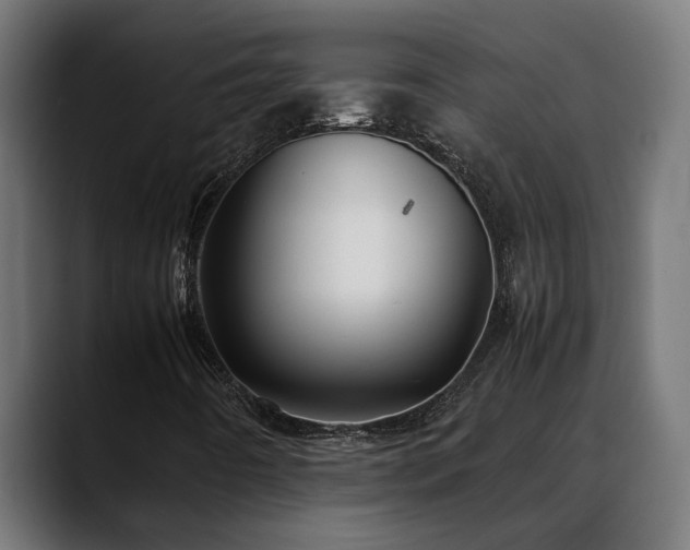 X0000088461442200705291522