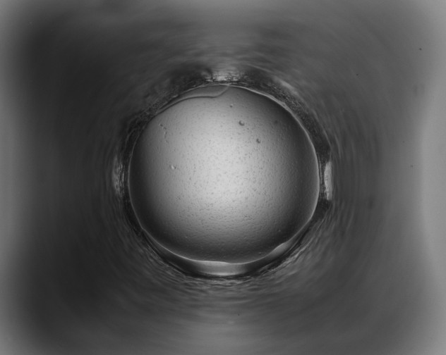 X0000088461443200705291522