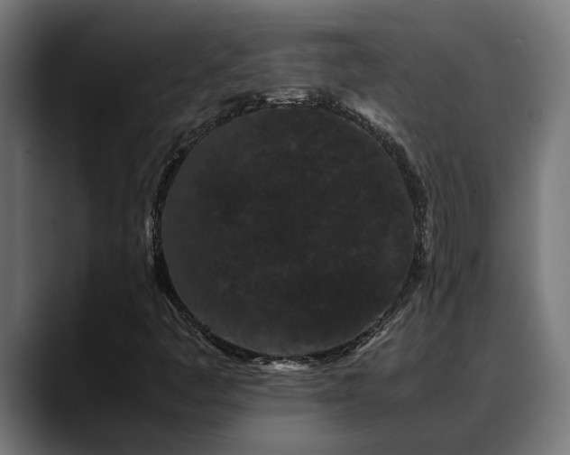 X0000088461445200705291522