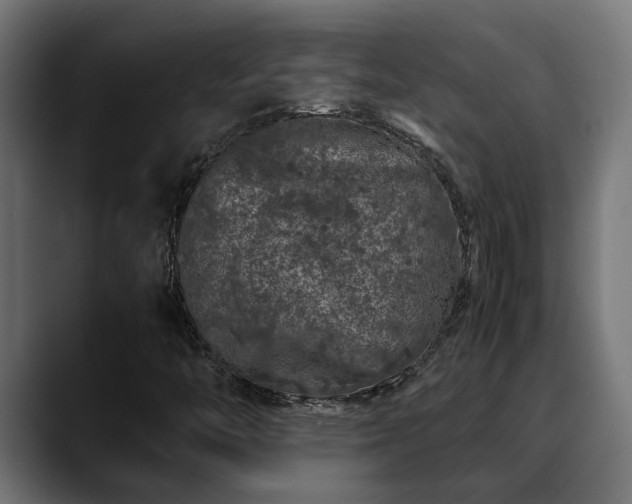 X0000088461446200705291522