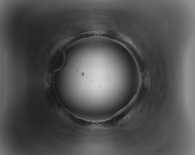 X0000088461448200705291522