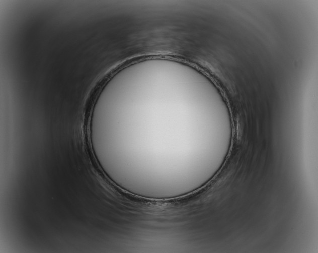 X0000088461452200705291522