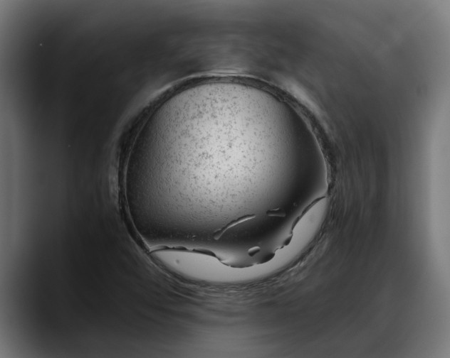 X0000088461456200705291522