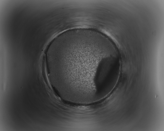 X0000088461459200705291522