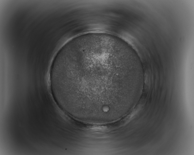 X0000088461466200705291522
