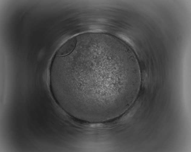 X0000088461467200705291522