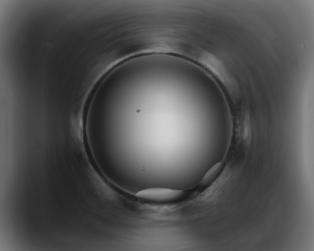 X0000088461468200705291522