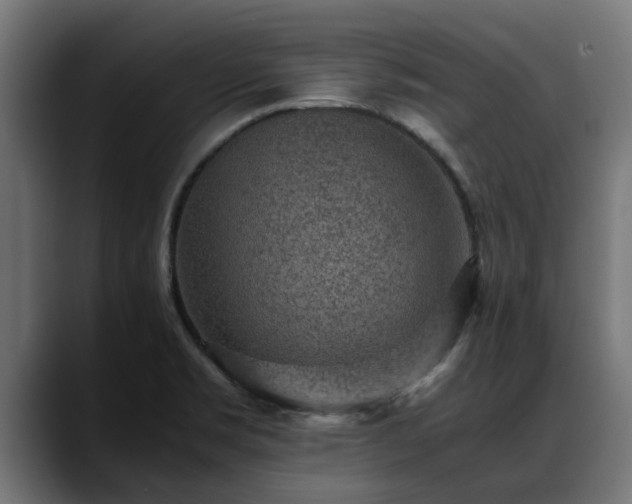 X0000088461469200705291522