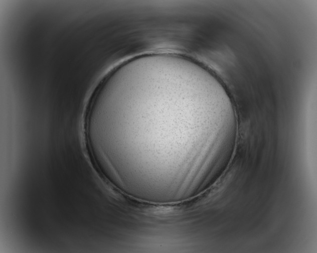 X0000088461470200705291522