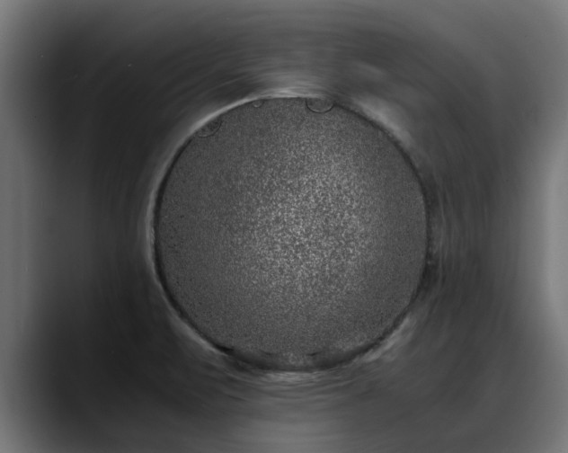 X0000088461471200705291522