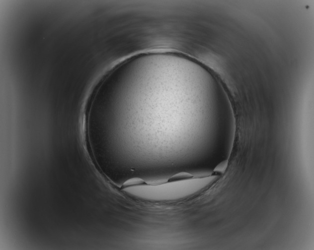 X0000088461472200705291522