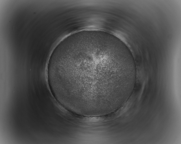X0000088461474200705291522