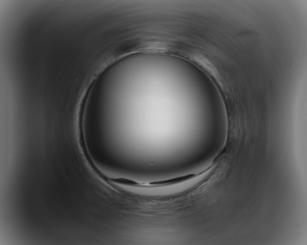 X0000088461475200705291522