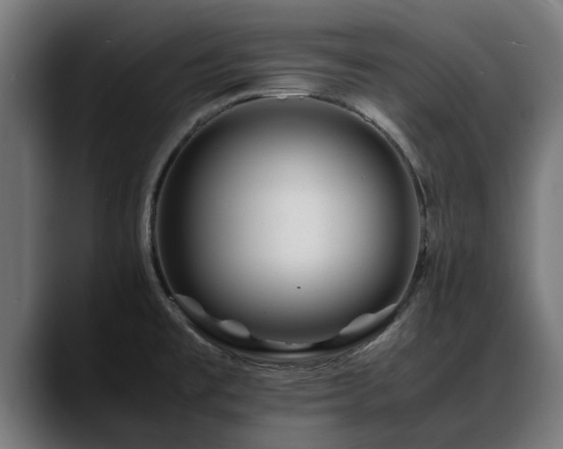 X0000088461477200705291521