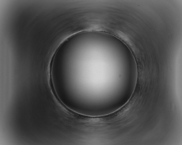 X0000088461479200705291521