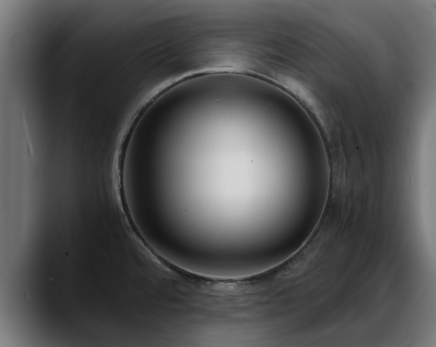 X0000088461480200705291521