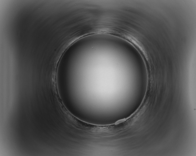X0000088461481200705291521