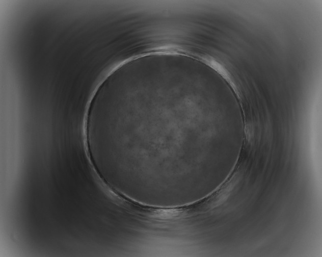 X0000088461482200705291521