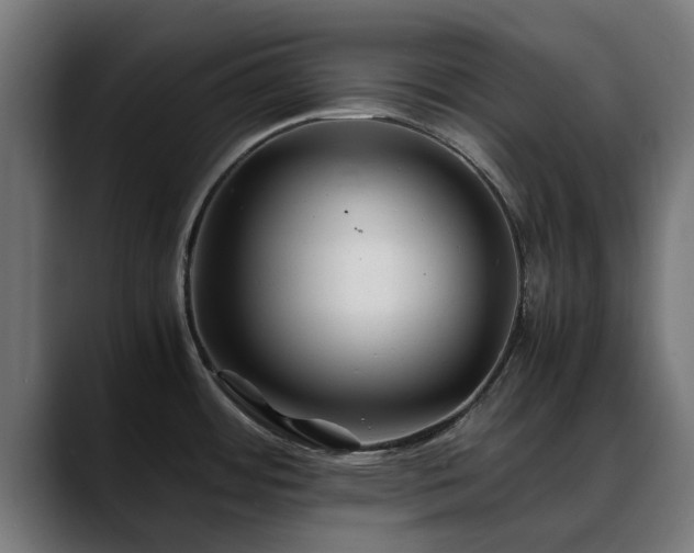 X0000088461484200705291521