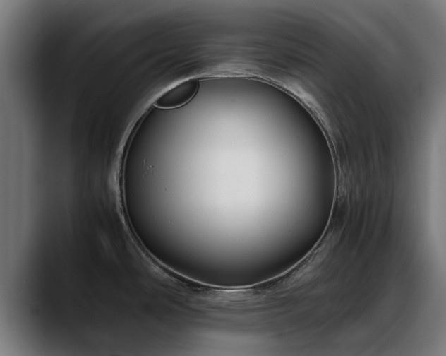 X0000088461486200705291521
