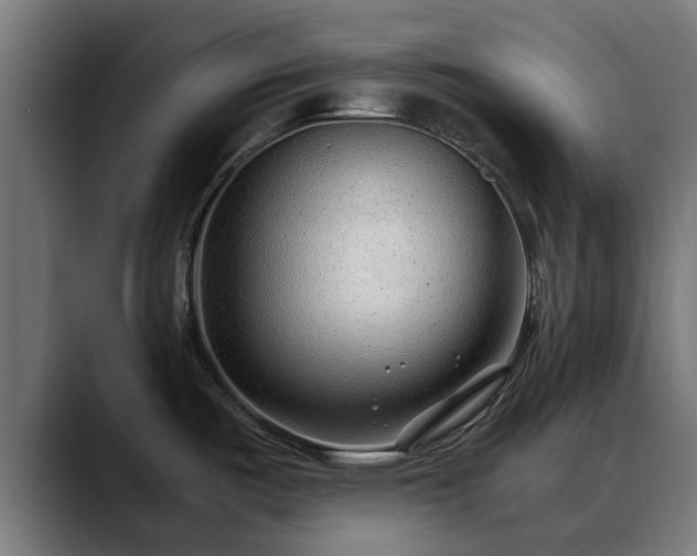 X0000088461487200705291521