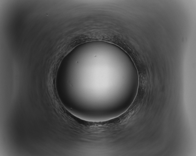 X0000088461489200705291521