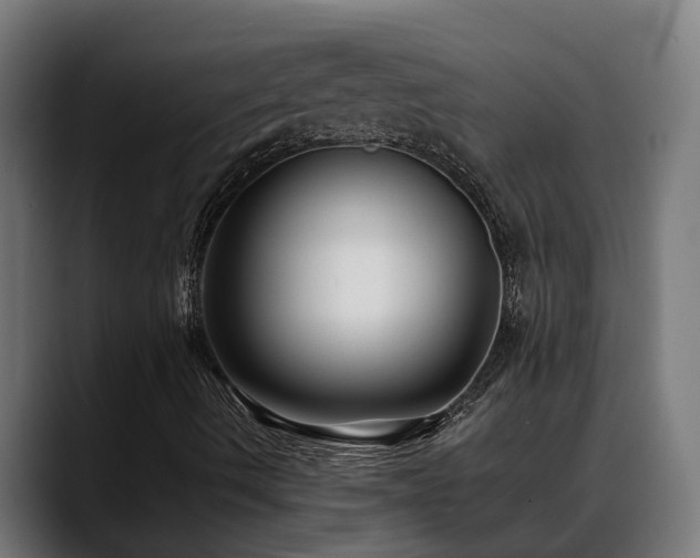 X0000088461490200705291521