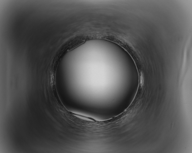X0000088461492200705291521