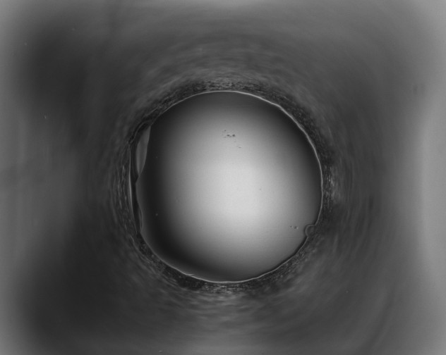 X0000088461493200705291521