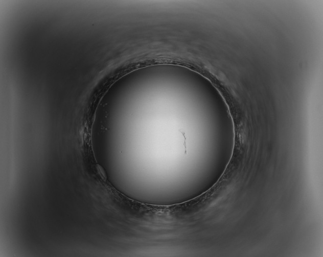 X0000088461495200705291521