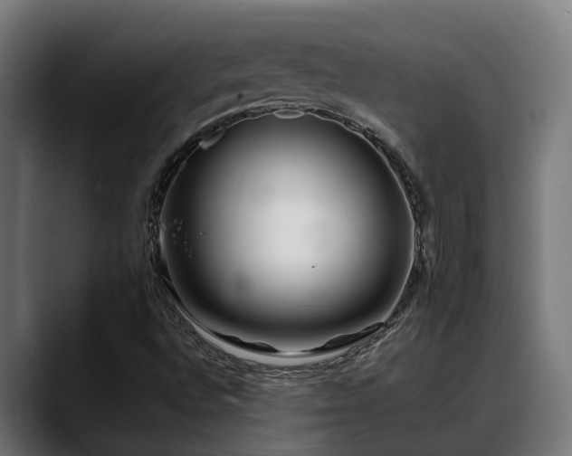 X0000088461496200705291521