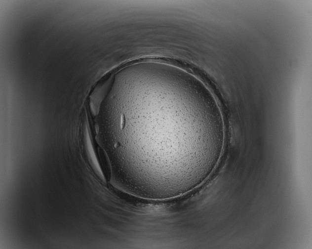 X0000088461497200705291521
