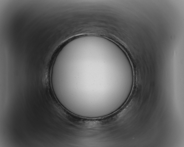 X0000088461498200705291521