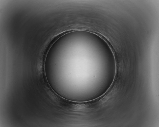 X0000088461499200705291521