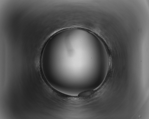 X0000088461500200705291521
