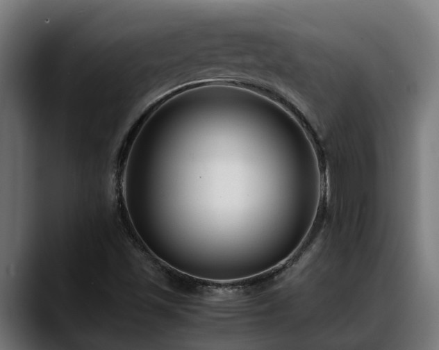 X0000088461501200705291521