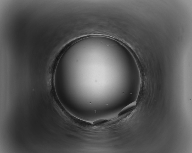 X0000088461503200705291521