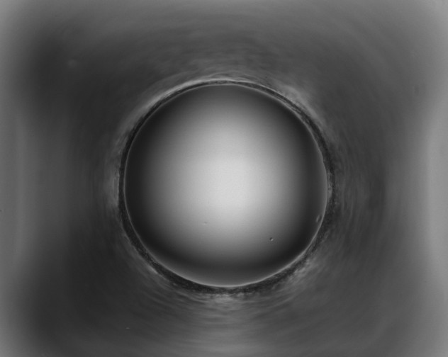X0000088461504200705291521
