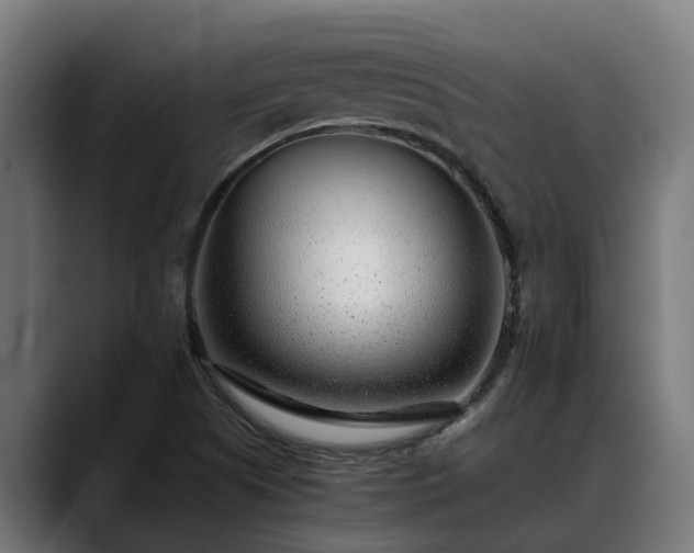 X0000088461505200705291521