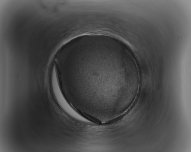 X0000088461506200705291521