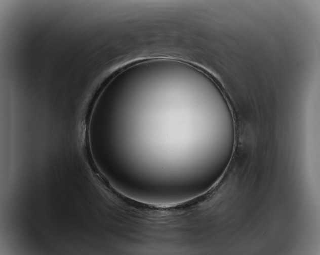 X0000088461507200705291521