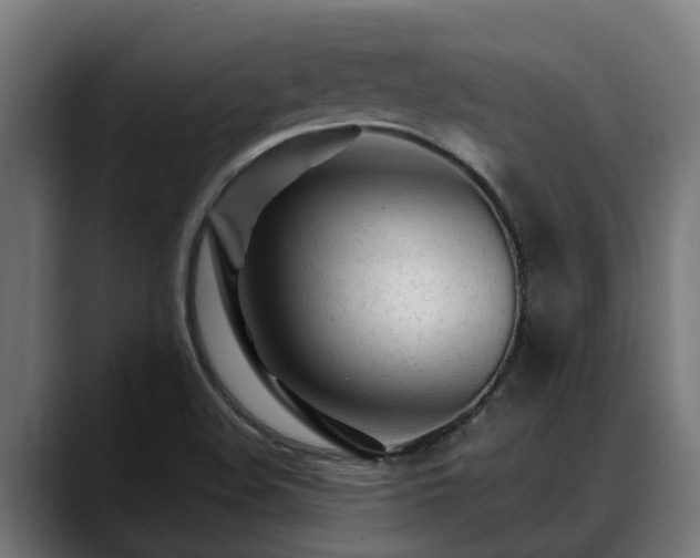 X0000088461508200705291521
