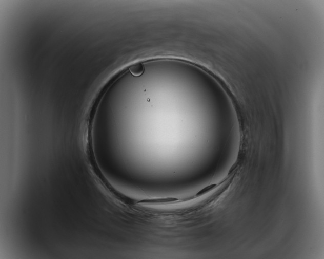 X0000088461511200705291521