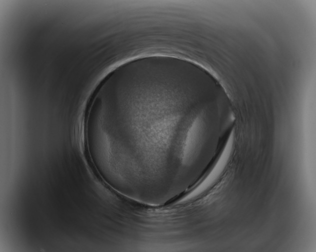 X0000088461515200705291521