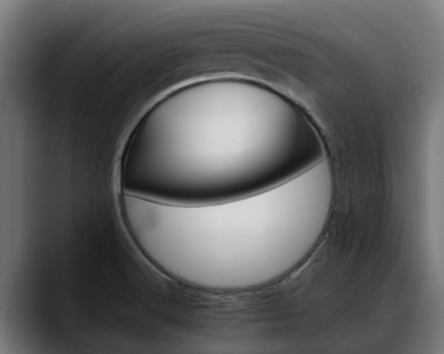 X0000088461516200705291521