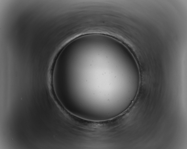 X0000088461517200705291521